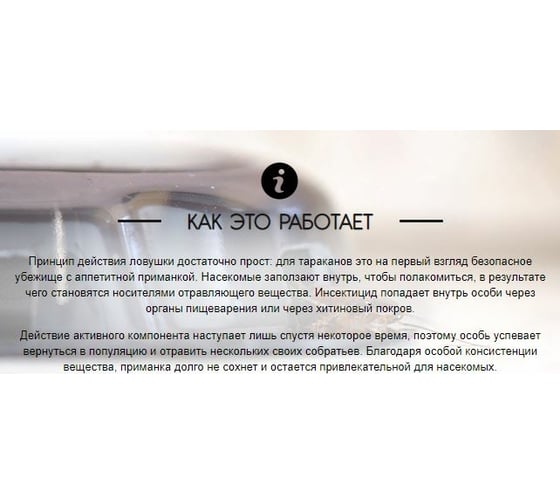 Ловушка от тараканов РАПТОР 6 шт. 10354 Ac0857