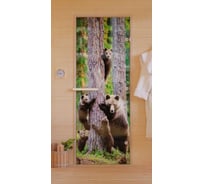 Дверь для бани DoorWood Фотопечать рисунок А064, 1900х700 мм УТ-00011465