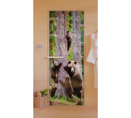 Дверь для бани DoorWood Фотопечать рисунок А064, 1900х700 мм УТ-00011465