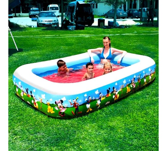 Прямоугольный бассейн Bestway Family Pool, 262х175х51 см, 778 л, MMCH 91008 BW 004891