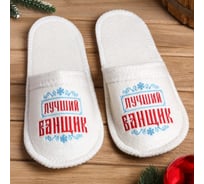 Тапочки с вышивкой Лучший банщик Банная забава, 4342449