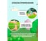 Браслет репеллентный от комаров Gardex Naturin GR0001 4