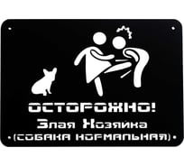 Табличка ООО СКП Осторожно, злая хозяйка, 30х21 см, сталь, порошковое покрытие Т-019