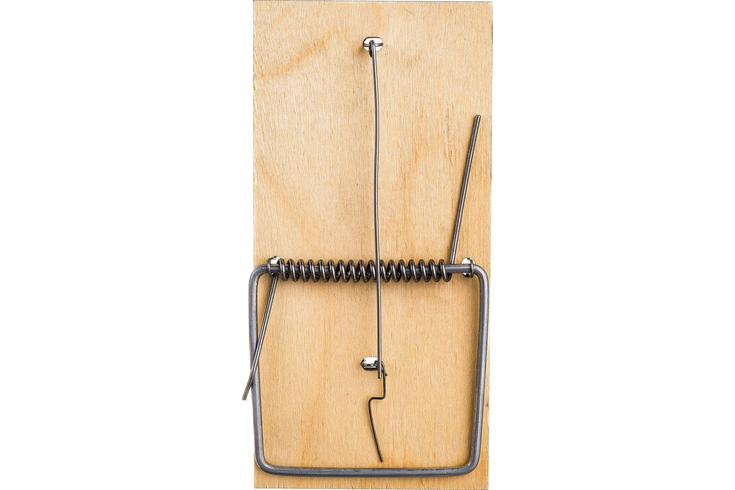 КрысоловкаДомовойПрошкадеревянная22993