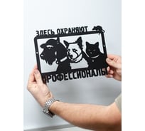 Табличка ООО СКП Охраняют Профи 25*30, сталь, порошковое покрытие Т-024