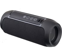 Bluetooth-колонка Perfeo STREET BAND черная 30014722