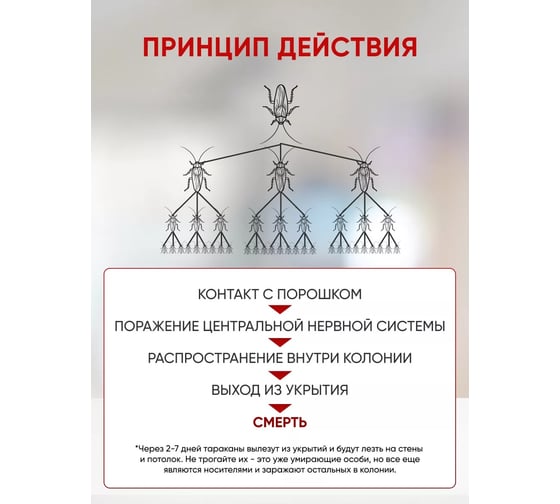 Тиурам от тараканов Сила Суздаля 200 г 4630249442475