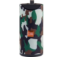 Колонка с Bluetooth 5.0 Belsis Magic Acoustic Prima, USB, TF-card, FM-радио SK1013MBN