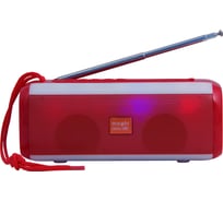 Колонка с Bluetooth 5.0 Belsis Magic Acoustic Vega, USB, FM-радио SK1014R