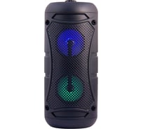 Колонка с Bluetooth Belsis Magic Acoustic Allegro, чёрный, размер 40.8x17.7x17.7 см BK1001