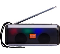 Колонка с Bluetooth 5.0 Belsis Magic Acoustic Vega, USB, FM-радио, чёрная SK1014BK