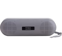 Колонка с Bluetooth 5.0 Belsis Magic Acoustic Evolution, USB, серый SK1019GY