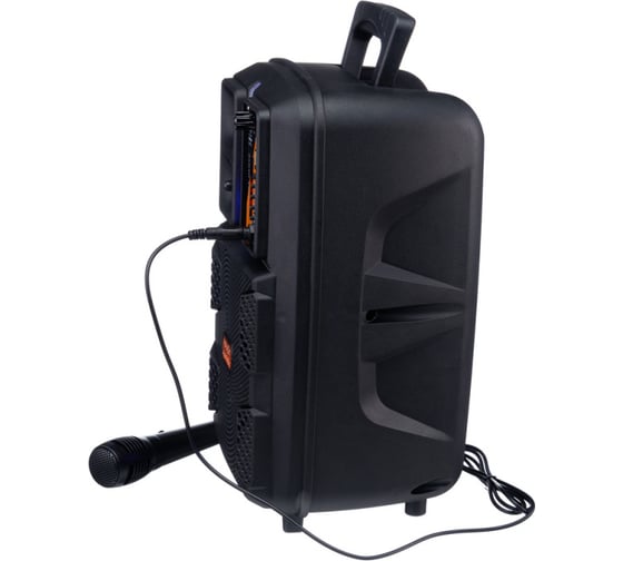 Bluetooth-колонка с проводным микрофоном Belsis Magic Acoustic Aurora BK1003