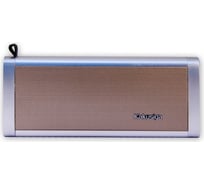 Колонка с Bluetooth 3.0 Belsis, USB, TF card, FM-радио, 10 Вт, серо-золотой SK1008GYGD