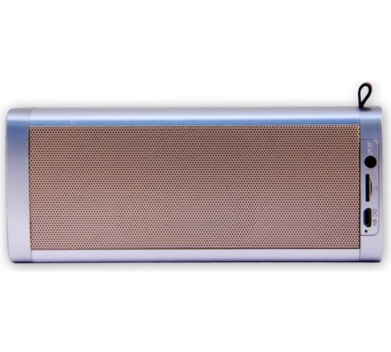 Колонка с Bluetooth 3.0 Belsis, USB, TF card, FM-радио, 10 Вт, серо-золотой SK1008GYGD