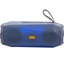 Колонка с Bluetooth 5.0 Belsis, USB, FM-радио, серый SK1015GY