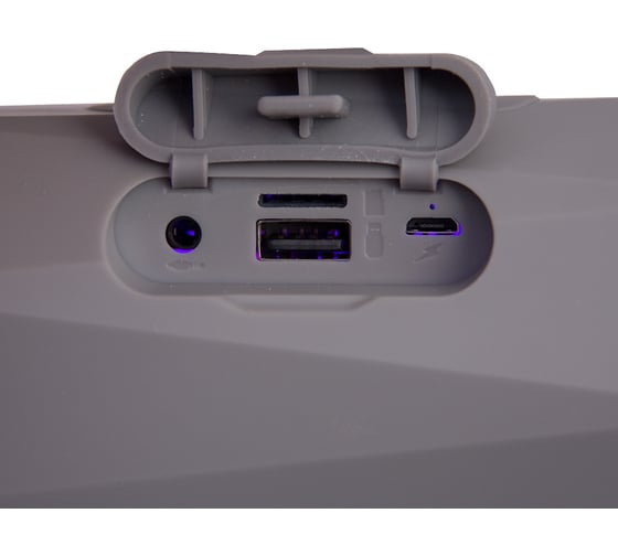 Колонка с Bluetooth 5.0 Belsis, USB, FM-радио, серый SK1015GY