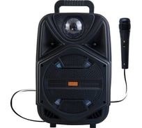 Колонка с Bluetooth Belsis Magic Acoustic Bravo, черный, TF, USB, FM, MIC BK1002