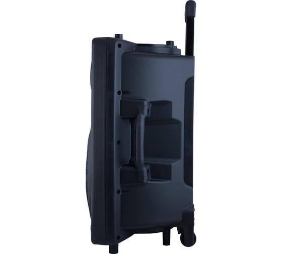 Колонка с Bluetooth Genesis с проводным микрофоном и светомузыкой Belsis TF USB BK1005