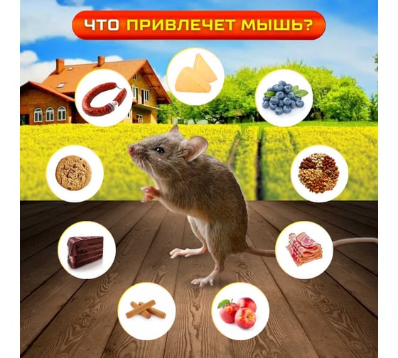 Мышеловка SuperCat Mouse Trap, без приманки, 2 шт. MouseTrap(2)
