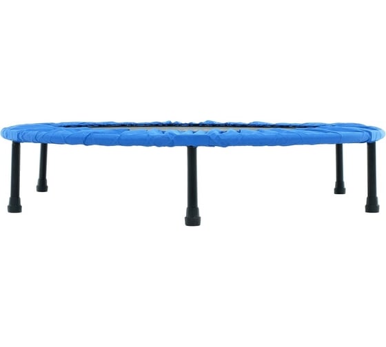 Батут ONLITOP 45", 115 см, цвет синий 3043356