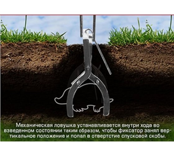 Кротоловка-капкан SuperCat Скат-62 плунжерная, оцинкованная, 4 шт. 4406(4)