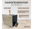 Парогенератор Reexo SteamLong 60S - 6 кВт, 220 В, для хаммама до 9 куб.м 182840 6