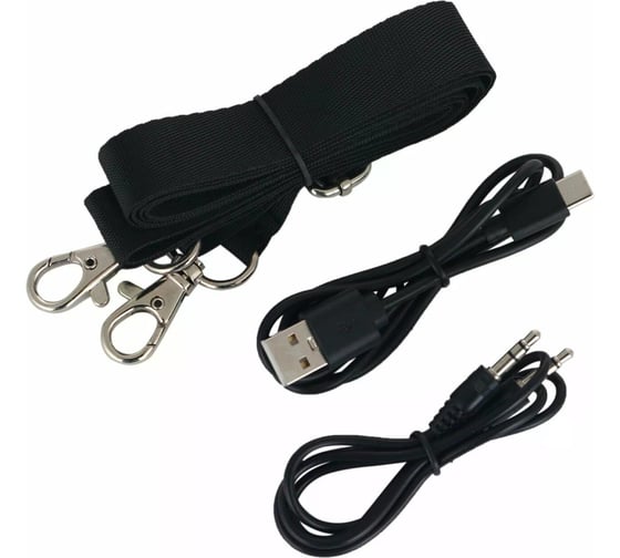 Портативная колонка MAX Q-40 30207
