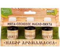Набор Банная забава Мята, сосновое масло, пихта 3 эфирных аромамасла 100% 15мл 1246846