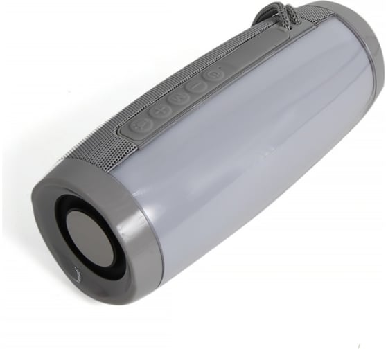 Портативная колонка T&G TG157 10Вт, цвет серый TG157GR