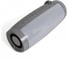 Портативная колонка T&G TG157 10Вт, цвет серый TG157GR 4