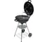 Угольный гриль BEST PICNIC Barbeque 47 50715 4