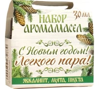 Набор аромамасел Банная забава С Новым годом! С легким паром! эвкалипт, мята, пихта, 10 мл, 3 шт. 3623283