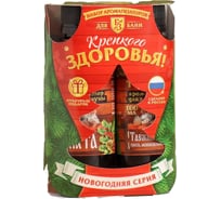 Набор ароматизаторов Банная забава Крепкого здоровья 2 шт. 2485965