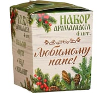 Набор аромамасел Банная забава Любимому папе в Новый год! 10 мл, 4 шт. 3623292