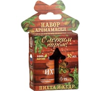 Набор аромамасел Банная забава С легким паром! пихта и кедр, 2 шт. 2482729