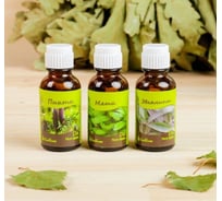 Набор эфирных масел СИМАЛЕНД Пихта. Мята. Эвкалипт 3 шт. по 17 мл 683842