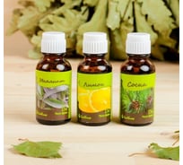 Набор эфирных масел СИМАЛЕНД Сосна. Лимон. Эвкалипт 3 шт. по 17 мл 683794