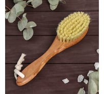 Щётка для сухого массажа Сималенд натуральное тампико, 230x54x16 мм, 79 пучков 5372641