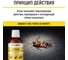Средство от тараканов и клопов WALNUT Агран, 50 мл, WLN0058 6