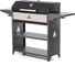 Мангал гриль Professional Optima BBQ GRATAR POB 3000 1