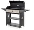 Мангал гриль Professional Optima BBQ GRATAR POB 3000 6