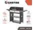 Мангал гриль Professional Optima BBQ GRATAR POB 3000 2