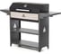 Мангал гриль Professional Optima BBQ GRATAR POB 3000 12