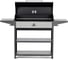 Мангал гриль Professional Optima BBQ GRATAR POB 3000 13