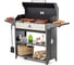 Мангал гриль Professional Optima BBQ GRATAR POB 3000 14