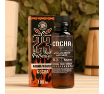 Ароматизатор Банная забава С 23 Февраля, 100 мл 4572630