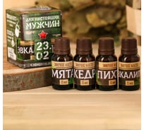 Набор эфирных масел Банная забава С днем настоящих мужчин! 23.02, 15 мл 3871897