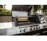 Газовый гриль ENDERS UNIQ PRO 3 IKO KITCHEN CRUSTER 860833 4