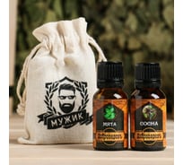 Набор эфирных масел Добропаровъ Мужик сосна, мята, 2 шт., 17 мл 7572883